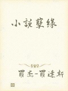 小说孽缘
