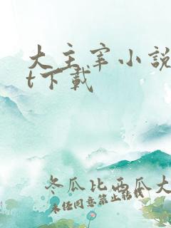 大主宰小说txt下载