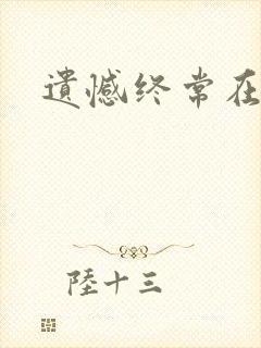 遗憾终常在小说