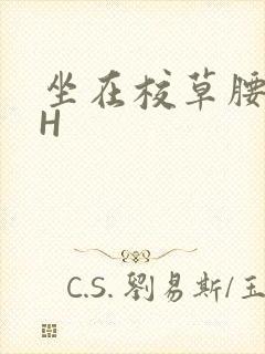 坐在校草腰上动H