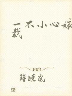 一不小心嫁给总裁