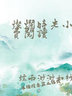 灿烂时光小说免费阅读