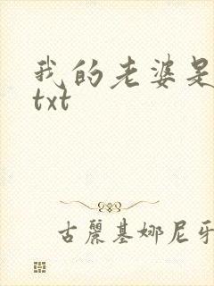 我的老婆是警察txt