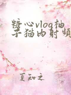 糖心vlog柚子猫内射频
