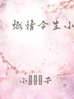 燃情今生小说