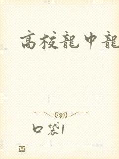 高校龙中龙全集