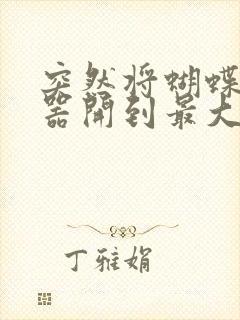 突然将蝴蝶遥控器开到最大