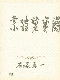 爹地请你温柔点小说免费阅读