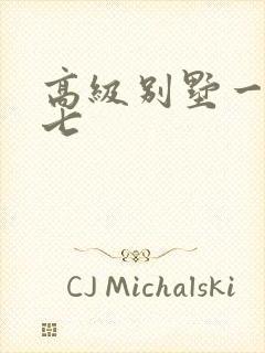 高级别墅一夜死七