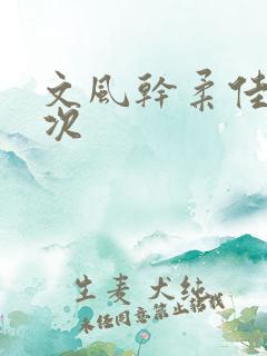 文风干柔佳第一次