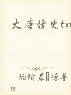 大唐情史txt