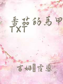 番茄的马甲小说TXT