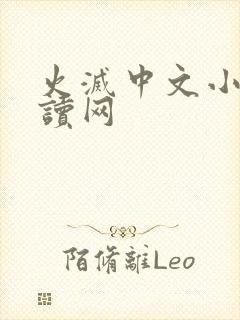 火灭中文小说阅读网