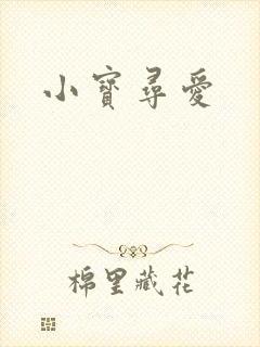 小宝寻爱