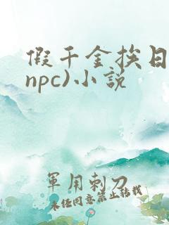 假千金挨日记(npc)小说