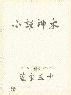 小说神木