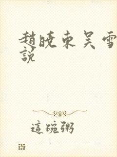 赵晓东吴雪晴小说