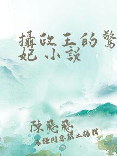 摄政王的惊世嫡妃 小说