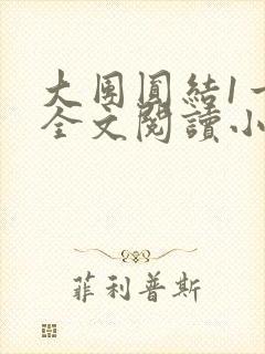 大团圆结1一6全文阅读小说