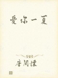 爱你一夏
