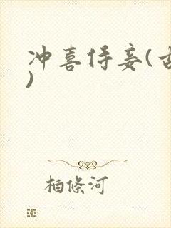 冲喜侍妾(古言)