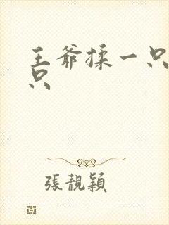 王爷揉一只舔一只