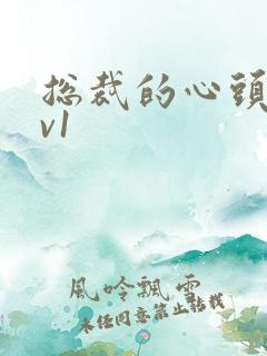 总裁的心头宝1v1