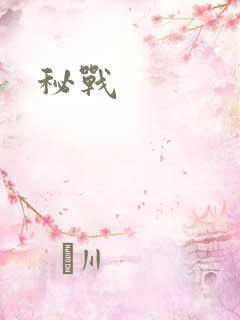 秘战