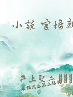 小说 官场新贵