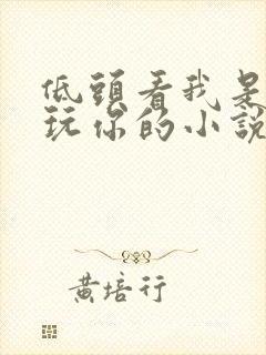 低头看我是怎么玩你的小说