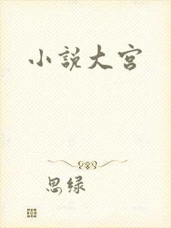 小说大宫
