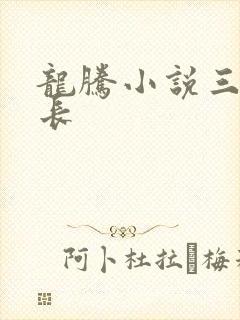 龙腾小说三宝局长