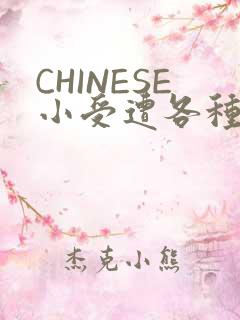 CHINESE小受遭各种打桩