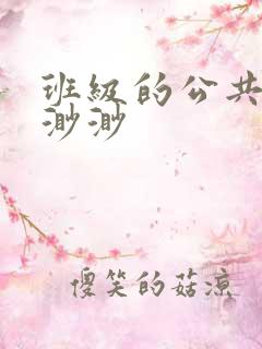 班级的公共玩具渺渺