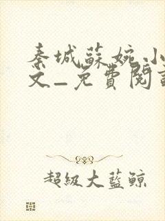 秦城苏婉小说全文_免费阅读最新