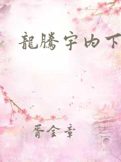龙腾宇内下载