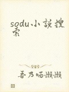 sodu小说搜索