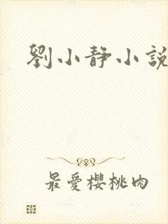 刘小静小说