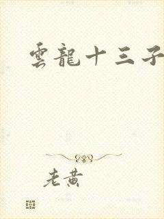 云龙十三子