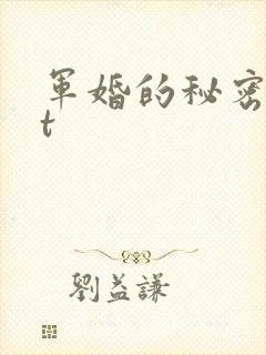 军婚的秘密txt