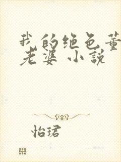 我的绝色董事长老婆 小说