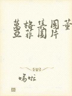 万格集团董事李亚菲图片