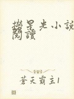 捞星光小说免费阅读