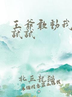 王爷敢动我妈咪试试