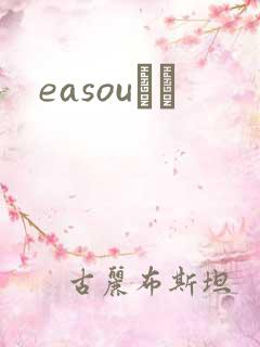easouС˵