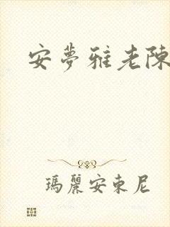 安梦雅老陈
