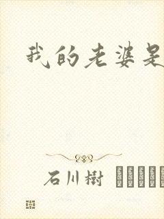 我的老婆是卧底