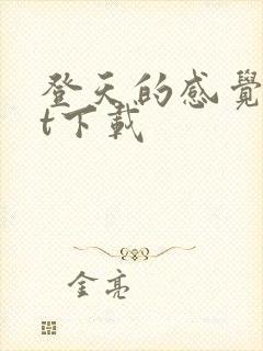 登天的感觉txt下载