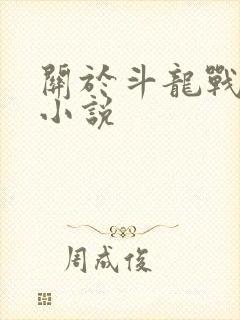 关于斗龙战士的小说