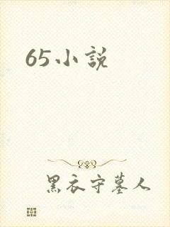 65小说